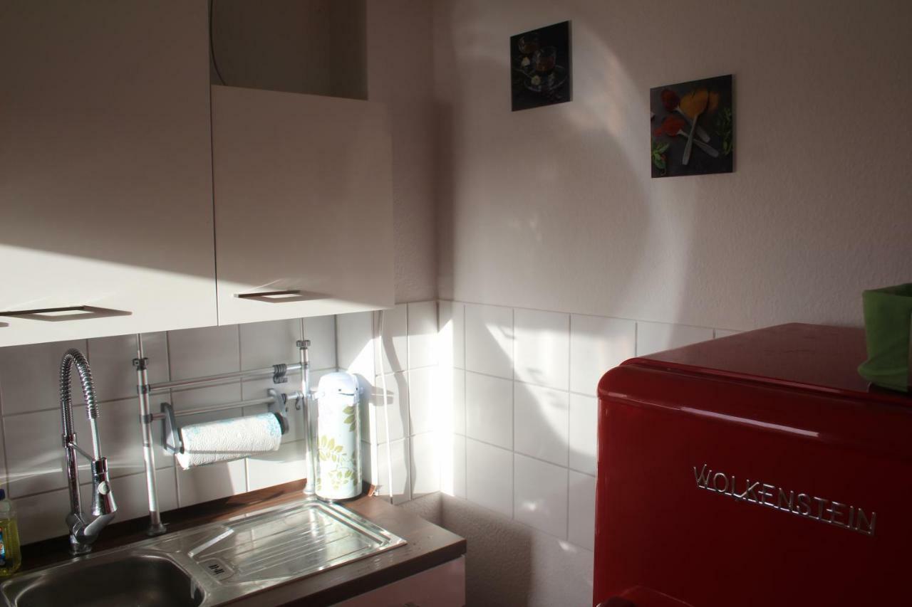 Dessau-Rosslau Ziebigk Appartement Deluxe מראה חיצוני תמונה